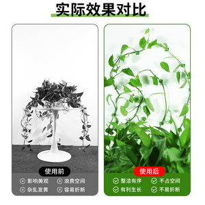 Support mural pour plantes grimpantes Green Ivy, clip adhésif, installation sans perçage, 100 pièces - Product Image 2