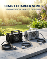 LNLEE Chargeur de batterie de moto électrique personnalisé étanche Lithium Ion & plomb acide 12V 24V 48v 42V 7A avec protection OTP & OVP