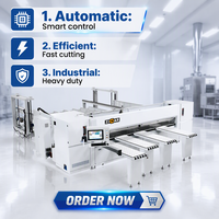 Scie à panneaux CNC intelligente haute vitesse ZICAR pour la découpe de précision du bois, scie à poutres pour contreplaqué et panneaux MDF