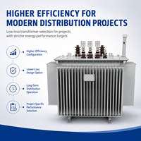 Transformador de Distribución Trifásico S22 de 10kV, Alta Eficiencia y Baja Pérdida, Sumergido en Aceite