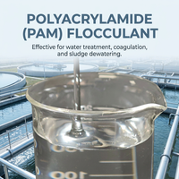Polyacrylamide Anionique (PAM) de Qualité Textile - Agent Formateur de Film à Haute Adhérence pour la Protection des Fils et le Tissage