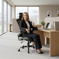Chaise de bureau ergonomique en maille respirante avec soutien lombaire, prix d'usine, pour la maison et le bureau