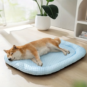 Hersteller Großhandel Custom Logo Blau Grün Haustier Hund Kühl matte - Product Image 1