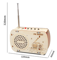 Mainan Perakitan Radio Mini Anak-anak, Perlengkapan Sains Edukatif Kayu, Kit Rakitan Tape Recorder DIY, Set Puzzle Kayu
