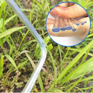 Fil en acier <span class=keywords><strong>plastique</strong></span> haute résistance, matériau PET, corde de pressage pour film de <span class=keywords><strong>serre</strong></span>, câble de soutien blanc/noir, accessoires de <span class=keywords><strong>serre</strong></span> - Product Image 3