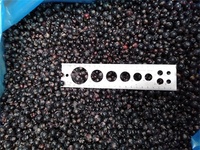 Bevroren Zwarte Bes Eersteklas Gedroogd Fruit Voor Uw Gezonde Snack Of Culinaire Lekkernijen