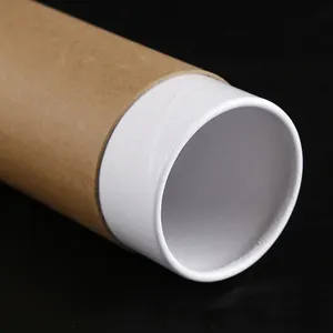 Tube en papier Kraft blanc personnalisé de haute qualité, fabriqué en chine, expédition en gros