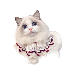 Kingtale đồ trang trí vật nuôi mèo khăn quàng cổ ren Pomeranian Poodle Teddy Dog drool khăn cung Vòng Cổ Phụ Kiện - Product Image 4