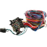 Kit Kabel Harness Tahan Air 21 Jalur Multiwarna 17 Sekring PBT/Nylon Karet untuk Mobil Chevrolet Mopar Hotrods Ford Chrysler General
