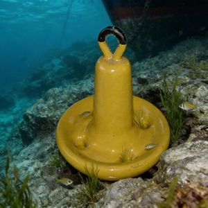 Ancre marine en fonte revêtue de PVC HITEC de haute qualité pour bateau gonflable et <span class=keywords><strong>piscine</strong></span> – Remplacement/réparation facile à utiliser - Product Image 2