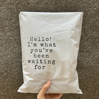 Sacs d'expédition personnalisés avec logo imprimé, sacs de messagerie pour vêtements, sacs poly mailer