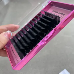 2024 New Premium Private Label Cashmere Volume Eyelash Extensions Dark Matte Black 6-30mm Hand Made Trays Free Sample