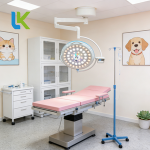 Équipement vétérinaire, instruments, lampes chirurgicales dentaires, lampes LED pour salle d'opération, certifiées CE, les moins chères, pour plafond de salle d'opération - Product Image 2