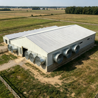 Structure en acier galvanisé à chaud moderne, haute résistance, résistante au vent et aux tremblements de terre, poulailler préfabriqué, hangar pour volailles