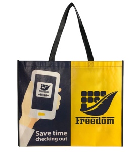 Bolsa de Compras Plegable Impermeable con Logotipo Personalizado, Fabricada en Tela No Tejida, Laminada en PP, con Diseño de Dibujos Animados, Artículo Promocional - Product Image 2