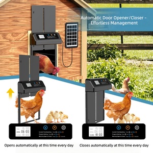 <span class=keywords><strong>Porte</strong></span> de <span class=keywords><strong>poulailler</strong></span> électrique en acier inoxydable à énergie solaire personnalisée en usine pour un fonctionnement contrôlé par minuterie - Product Image 2