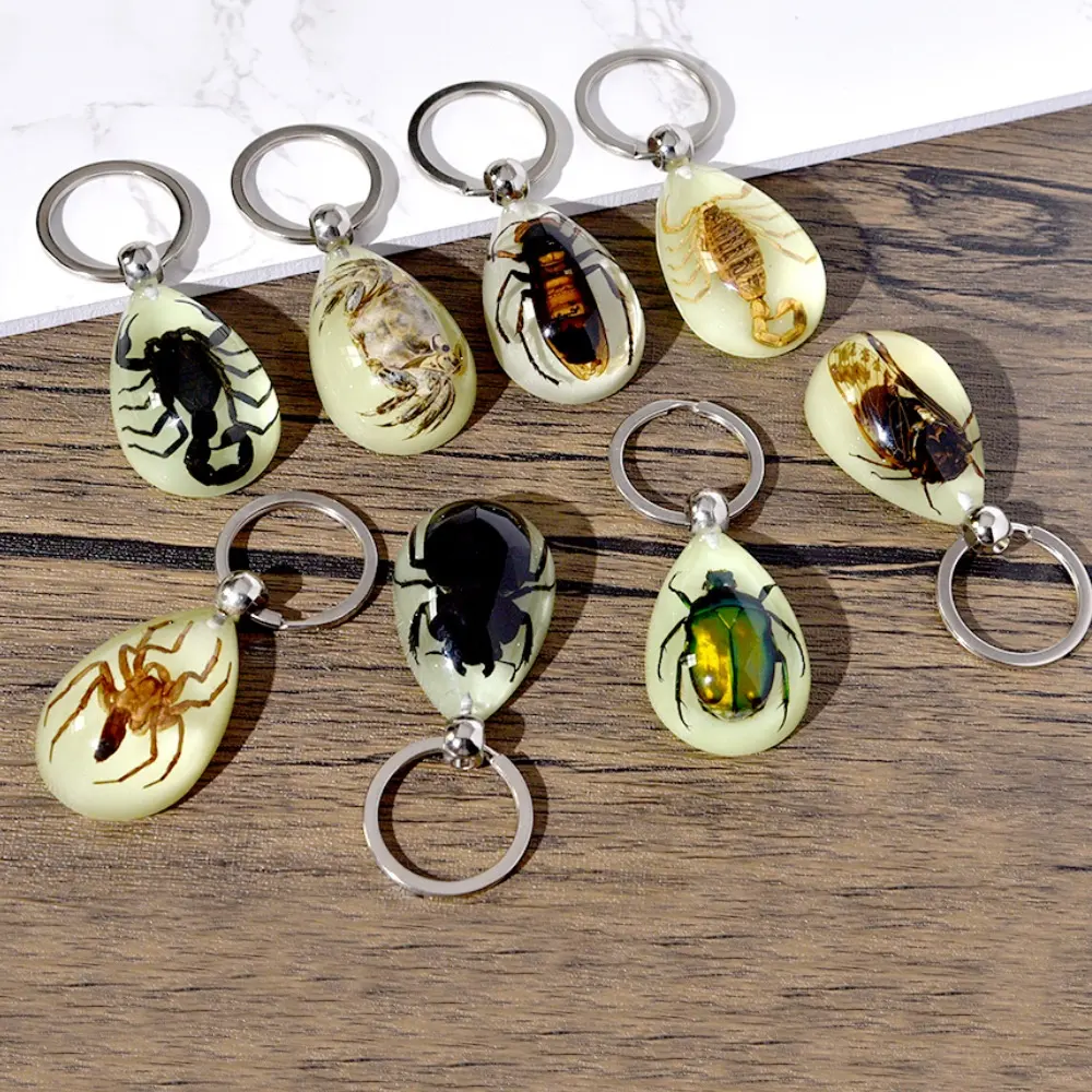 High transparency big size Real Insects Resin Keychain with black widow