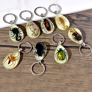 Llavero de Resina con Insectos Reales de Gran Tamaño y Alta Transparencia con la Viuda Negra - Product Image 1