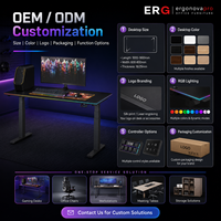 Bureau de jeu électrique extensible en bois RGB, réglable en hauteur, avec gestion des câbles, OEM ODM