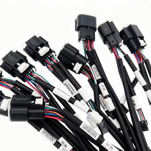 Memanfaatkan kabel listrik, pabrik profesional pemutus sirkuit kustom kabel listrik perakitan kabel Harness - Product Image 4