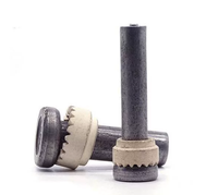 Steel Structure Stud Bolts Wholesale Cylindrical Head Ceramic-Covered Anti-Shear Welding Studs GBT 10432.1-2010 Standard