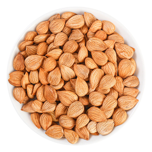 Noci di <span class=keywords><strong>Albicocca</strong></span> Naturali Longwangmao, Noci di <span class=keywords><strong>Albicocca</strong></span> Essiccate Disponibili in Stock per Ordini all'Ingrosso e Personalizzati - Product Image 1