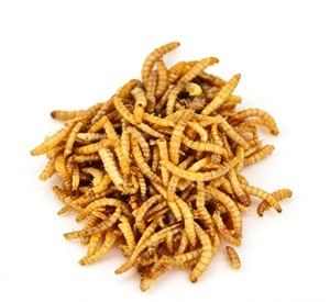 Premium Getrocknete Gelbe Mehlwürmer für Hühner, Vögel, Fische, Schildkröten, Eidechsen, Wellensittiche, Tauben 100% Natürliches Tierfutter - Product Image 3