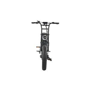 Vélo électrique à pneus larges 20 pouces avec batterie au lithium 48V 20AH, moteur sans balais, cadre en alliage d'aluminium, porte-bagages arrière, 250W/500W/750W - Product Image 5