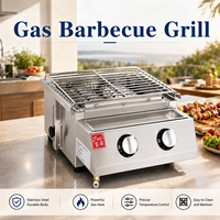 Barbecue au gaz commercial en acier inoxydable, machine à kebab avec contrôle de température pour restaurant, hôtel, extérieur