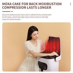 Appareil de traitement Moxibustion électrique, dispositif sans fumée, dispositif à ventilation automatique en bois, taille personnalisée - Product Image 5