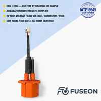 Sistem Pintu Bagasi Hisap Elektrik dengan Kabel Harness Tegangan Tinggi 600V Terproteksi untuk NEV OEM Kustom
