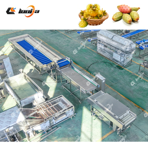 Machine à laver industrielle pour pommes de terre Laveuse de racines Figue de barbarie/cactus Machine à laver les fruits orange Ligne de séchage à l'air des fruits - Product Image 2