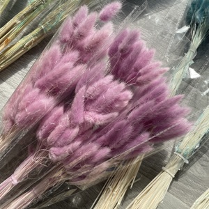 60 tiges de fleurs séchées et préservées du <span class=keywords><strong>Lagurus</strong></span> (Queue de Lapin) - Longue durée, écologiques, pour la Saint-Valentin, la Fête des Mères, Pâques - Product Image 6
