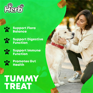 Probióticos para Mascotas OEM ODM Privados para Perros con Prebióticos que Promueven un Microbioma Intestinal Equilibrado - Refuerzan la Salud Inmunológica, Masticables Suaves - Product Image 3