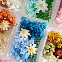 Boîte de fleurs séchées à mélanger, matériel de fleurs éternelles pour la décoration de gâteaux, fleurs séchées