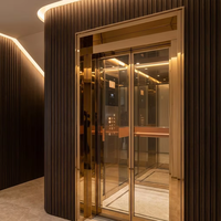 Ascenseur de villa silencieux haut de gamme à cadre métallique or champagne, 2 à 5 étages, design italien, ascenseur domestique