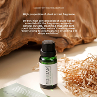 Diffuseur de pierres de cristal naturelles à combustion longue durée, sans flamme, pour aromathérapie, ornement parfumé, coffret cadeau pour la maison