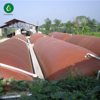 Digesteur de biogaz à ballon pour fumier de poulet agricole et usage domestique