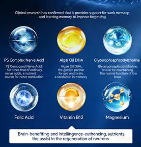 Cápsulas Blandas de Aceite de Algas DHA Premium OEM/ODM |   Programa de Apoyo para la Salud Cerebral y Ocular |   Suplemento Vegano de Omega-3 Sin OMG para Vegetarianos - Product Image 3