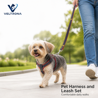 Harnais et laisse pour chien, ensemble en denim double face rouge avec surpiqûres jaunes pour chiens de petite, moyenne et grande taille