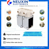 Vanne solénoïde électrique pour eau DC12V/24V, micro-vanne à débit stable, basse tension pour équipement de beauté, personnalisable OEM NEUXIN