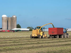 Moissonneuse-batteuse de pommes de terre de riz de cartel de roue portative 130KW GM100 en vente - Product Image 6