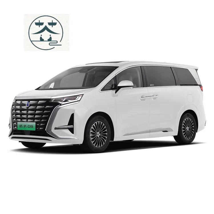 2023 Tengshi D9 Ev 자동차 MPV 럭셔리 중국 전기 자동차 고속 덴자 D9 7 인승 자동차 시트 커버 가죽 새로운 에너지 차량