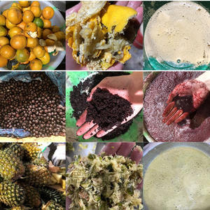 Hot Selling Customized <b>Fruit</b> Pulp <b>Processing</b> <b>Machine</b> <b>Fruit</b> and <b>Vegetable</b> Juice <b>Machine</b> with High Quality - Product Image 6