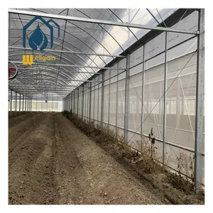 System Hydroponic Commercial Greenhouse Agricultural Equipment