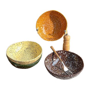 ชามเซรามิกตกแต่งลายสาดสีสันสดใส สำหรับอาหารเบาๆ ผลไม้ สลัด อาหารเช้า อาหารกลางวัน จานลึก รูปทรงแปลกตา ระดับไฮเอนด์ - Product Image 5