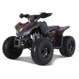 Tao Motor Atv 110 Utv 1000 Cc 4 Portas Frente Freio Do Tambor Novo Design Esporte 5AH Paz Esportes Crianças Automático 125CC 12V 125cc Quad Bike