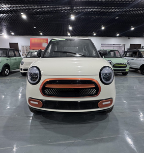 Nuovo Veicolo Elettrico Smart a Quattro Ruote, Mini Van Elettrico Direttamente dai Produttori Cinesi - Product Image 1