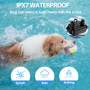 Neues Design Recyceln Sie Standard-Plastik flaschen aus umwelt freundlichem Hunde halsband - Product Image 3