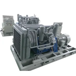 Compresor de aire de Gas de alta presión, 88 cfm, 250 bar, 3 fases, 380V, 60HZ, pistón